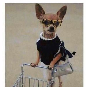 Meet your Posher, Rhona